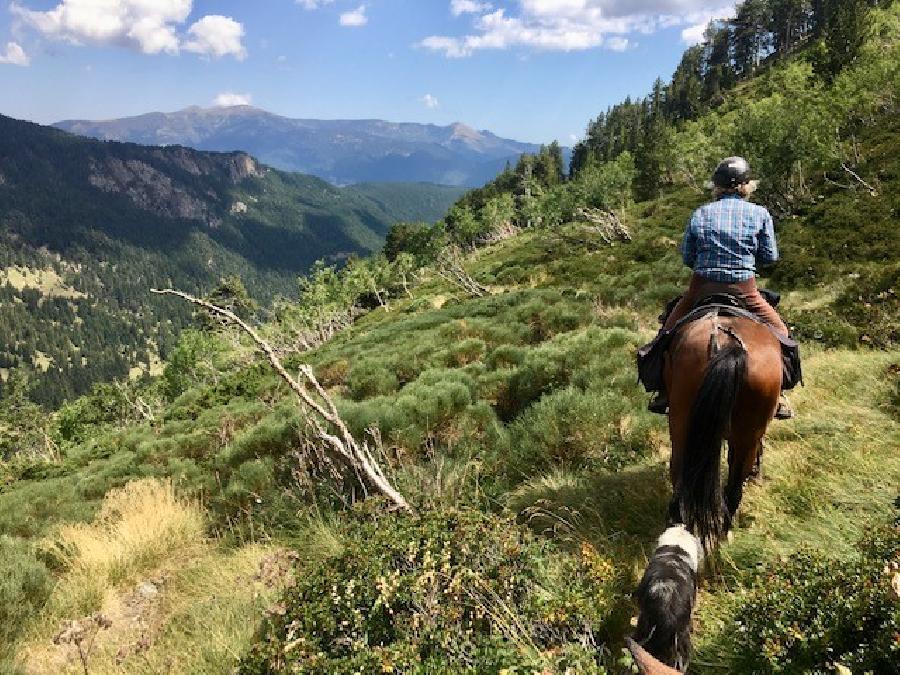 sejour Pyr�n�es-Orientales Pyr�n�es photo 4