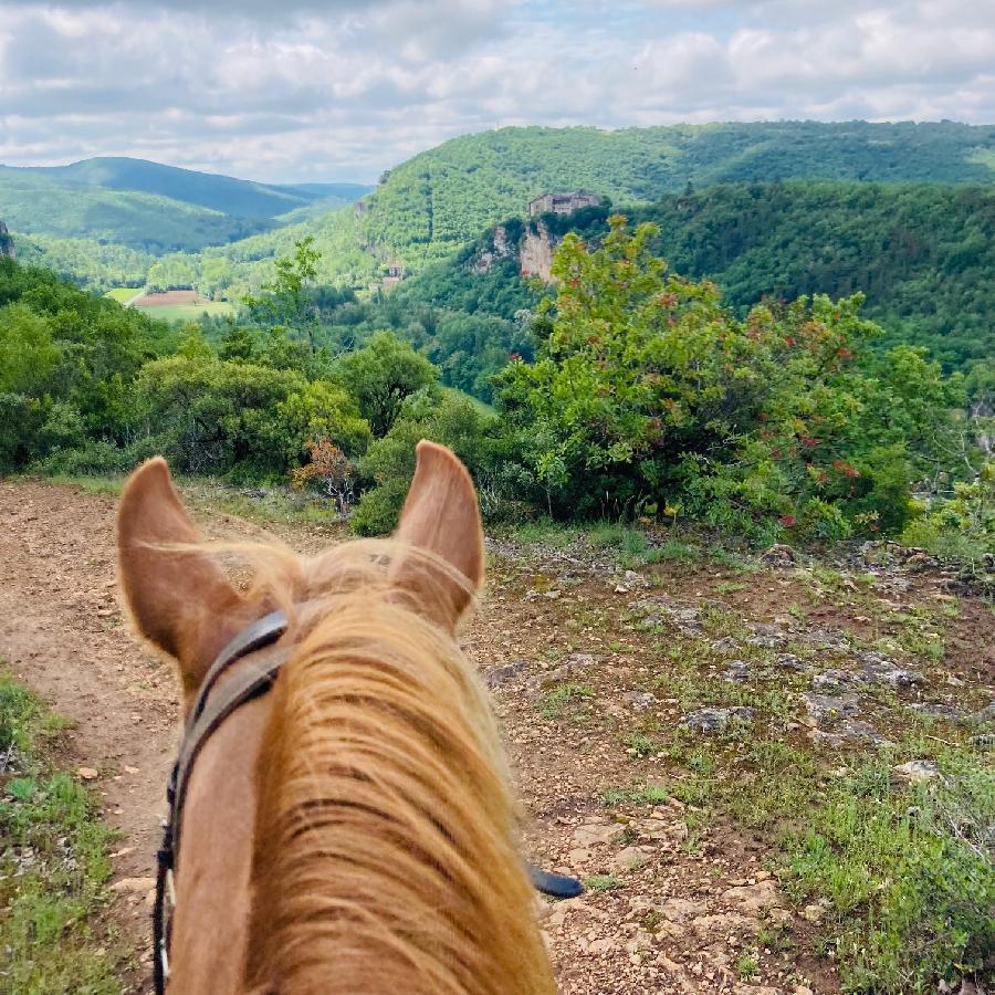 sejour Tarn-et-Garonne Quercy photo 5