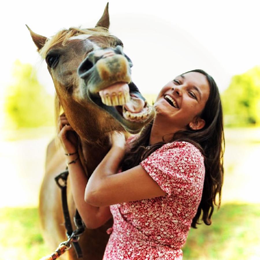 sejour Tarn-et-Garonne Quercy photo 3