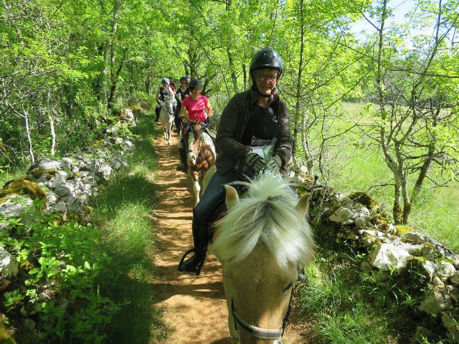 sejour Tarn-et-Garonne Quercy