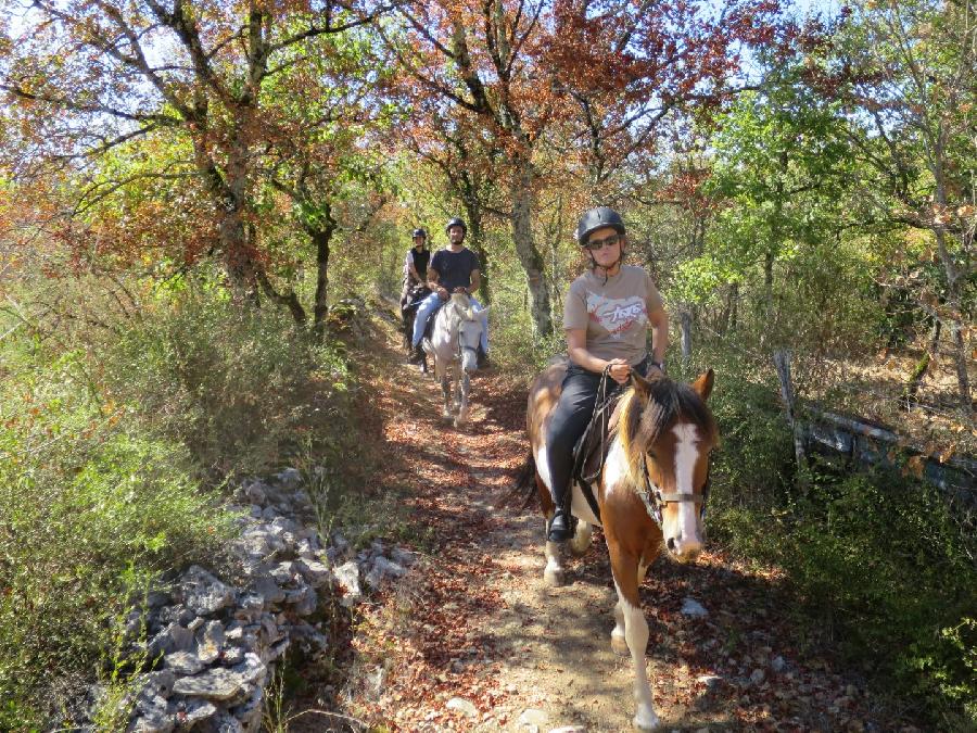 sejour Tarn-et-Garonne Quercy photo 5