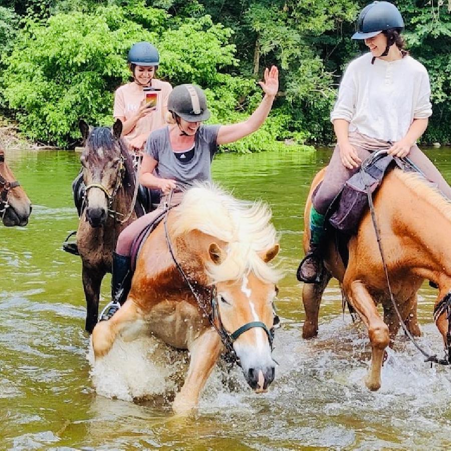sejour Tarn-et-Garonne Quercy photo 2