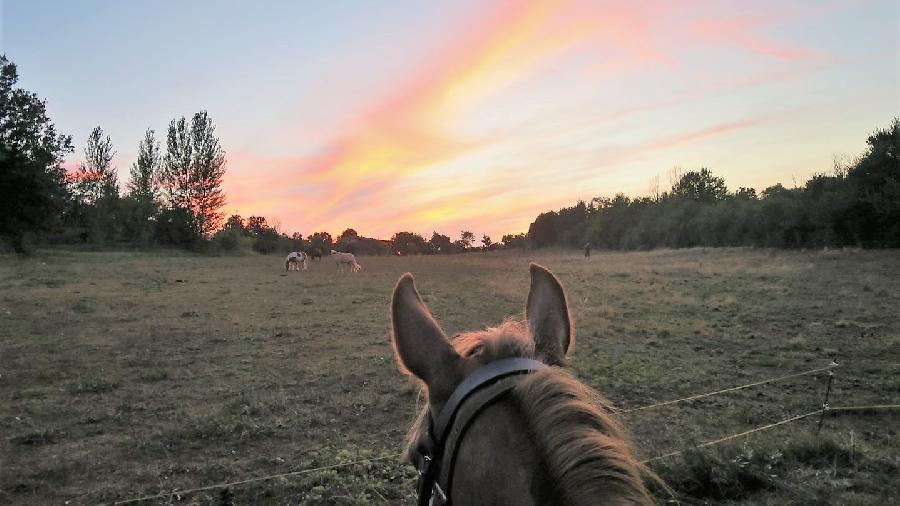 sejour Tarn-et-Garonne Quercy