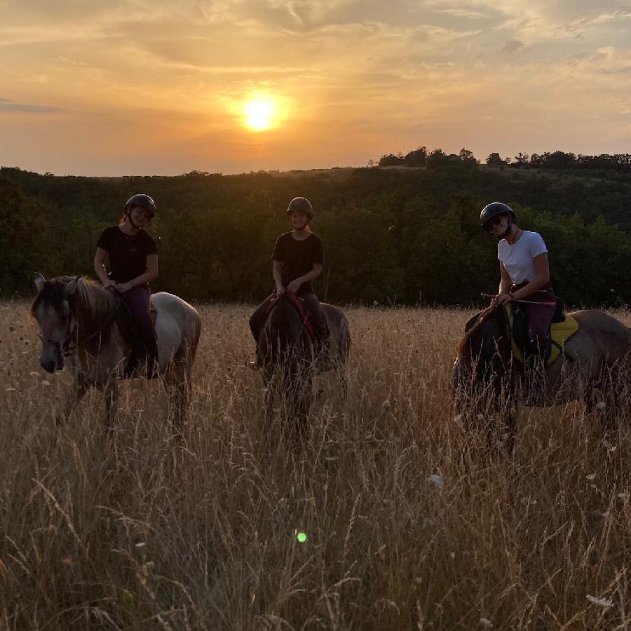 sejour Tarn-et-Garonne Quercy photo 4