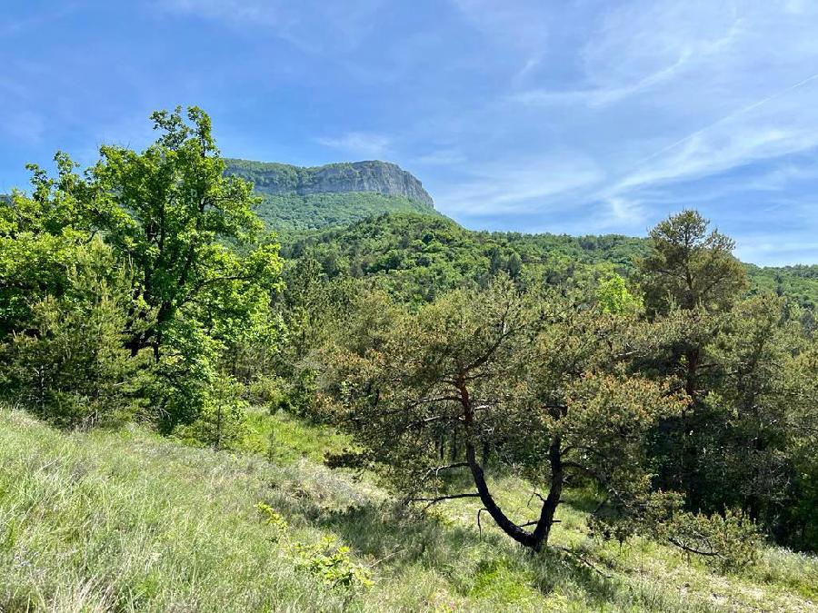 sejour Dr�me Dr�me Proven�ale photo 3