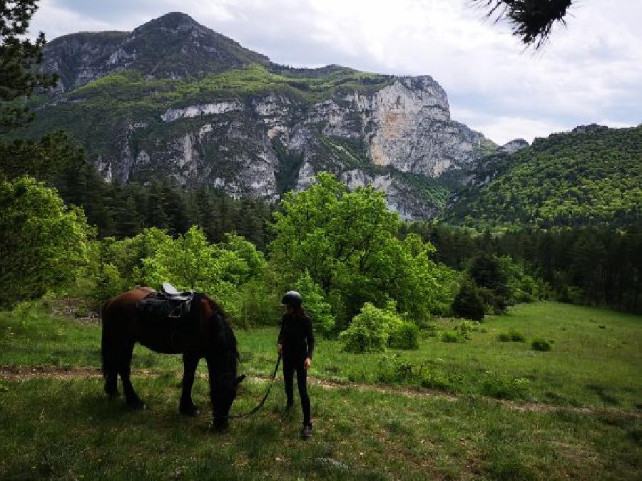 sejour Dr�me Dr�me Proven�ale photo 5