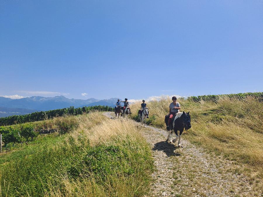 sejour Is�re Massif de la Chartreuse