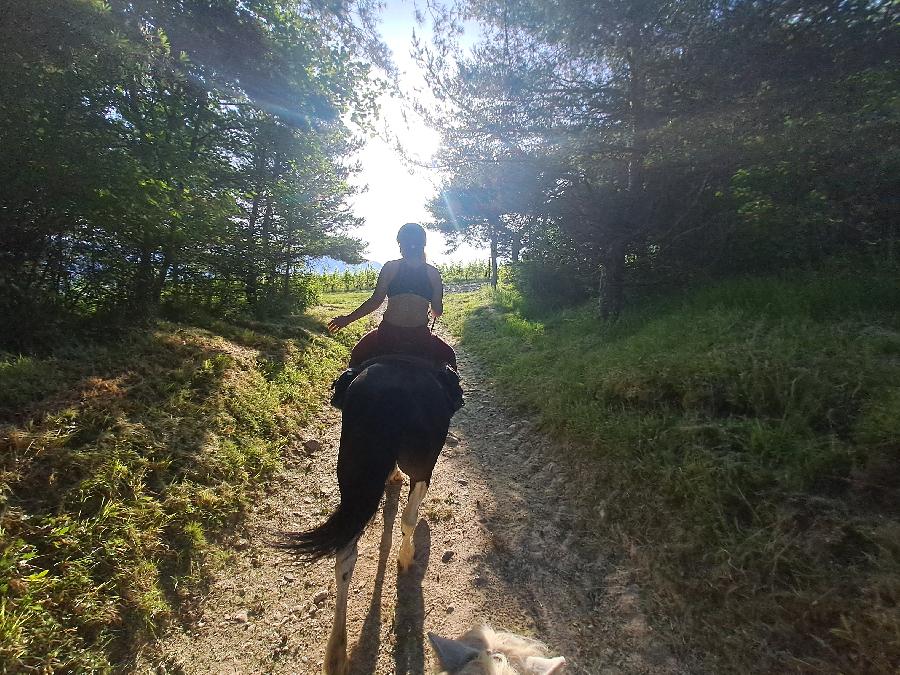 sejour Is�re Massif de la Chartreuse photo 2