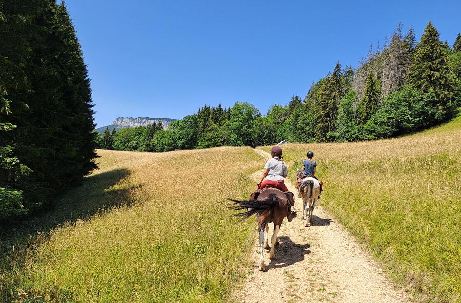 sejour Savoie Massif de la Chartreuse photo 3