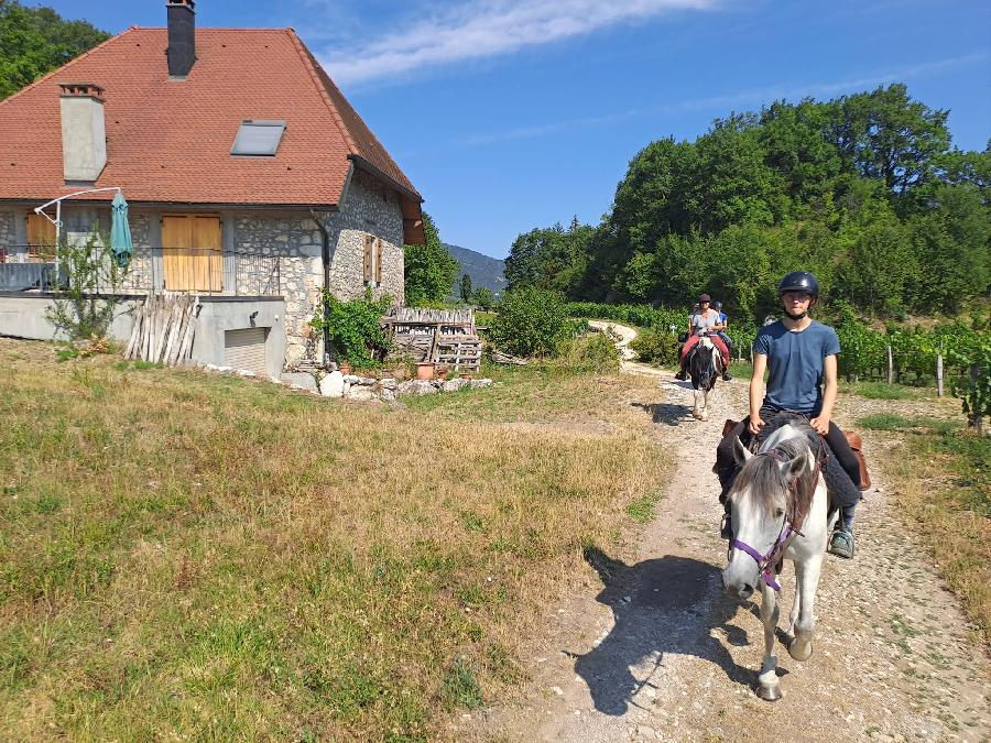 sejour Savoie Massif de la Chartreuse photo 3