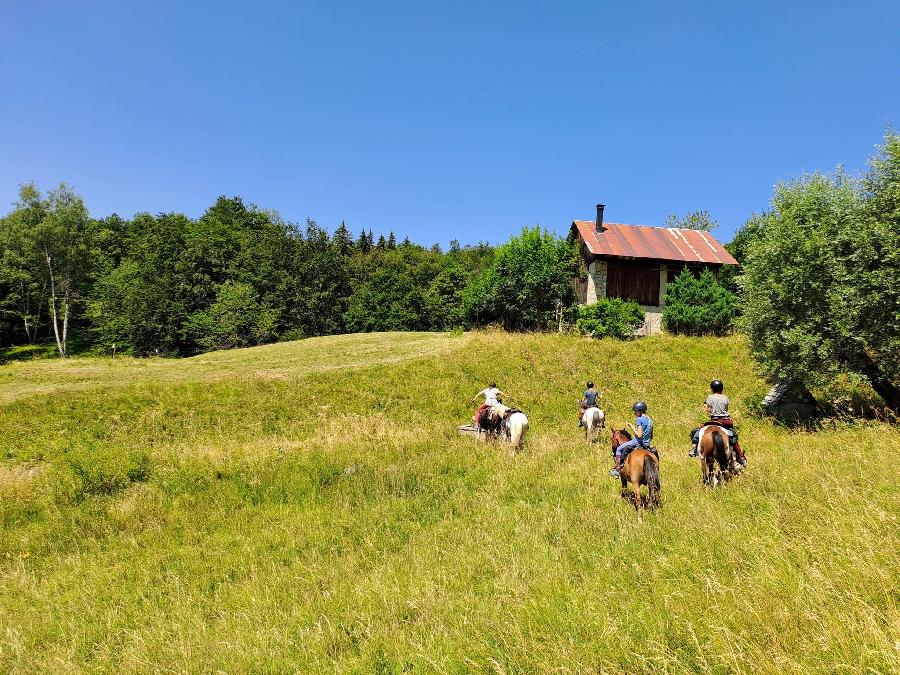 sejour Savoie Massif de la Chartreuse photo 5