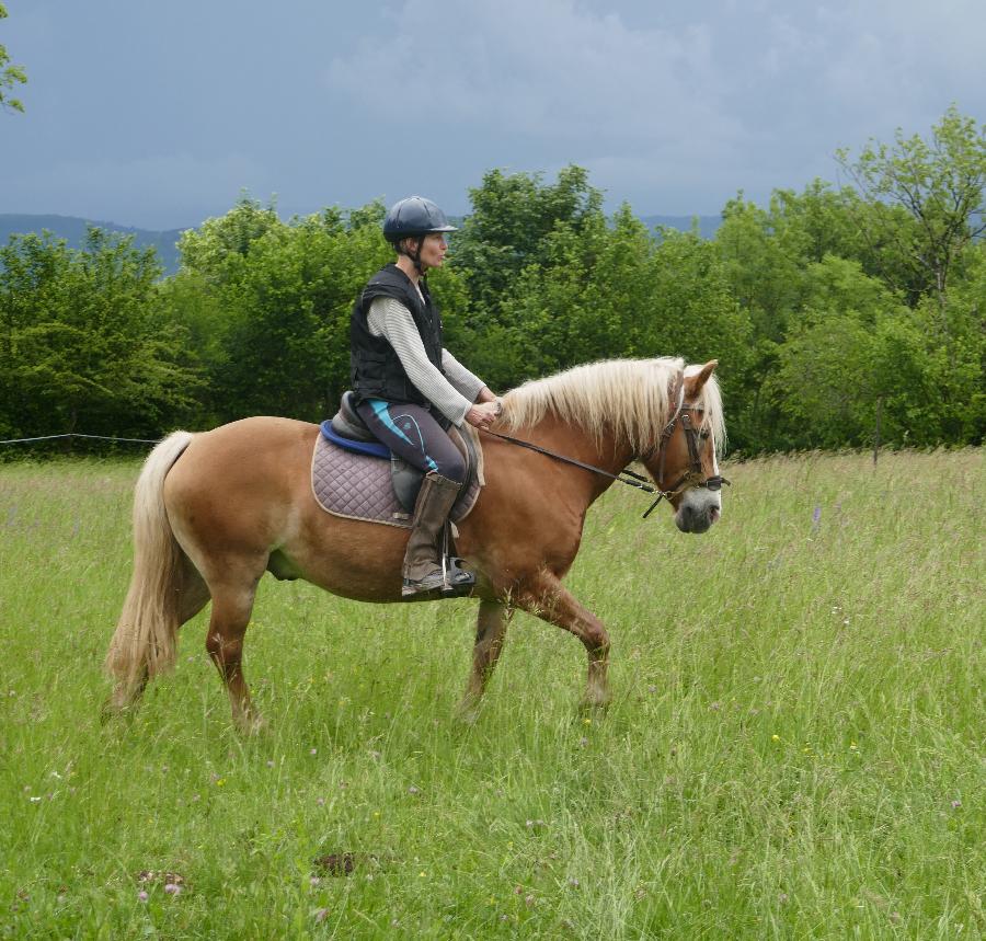 sejour Jura Massif du Jura
