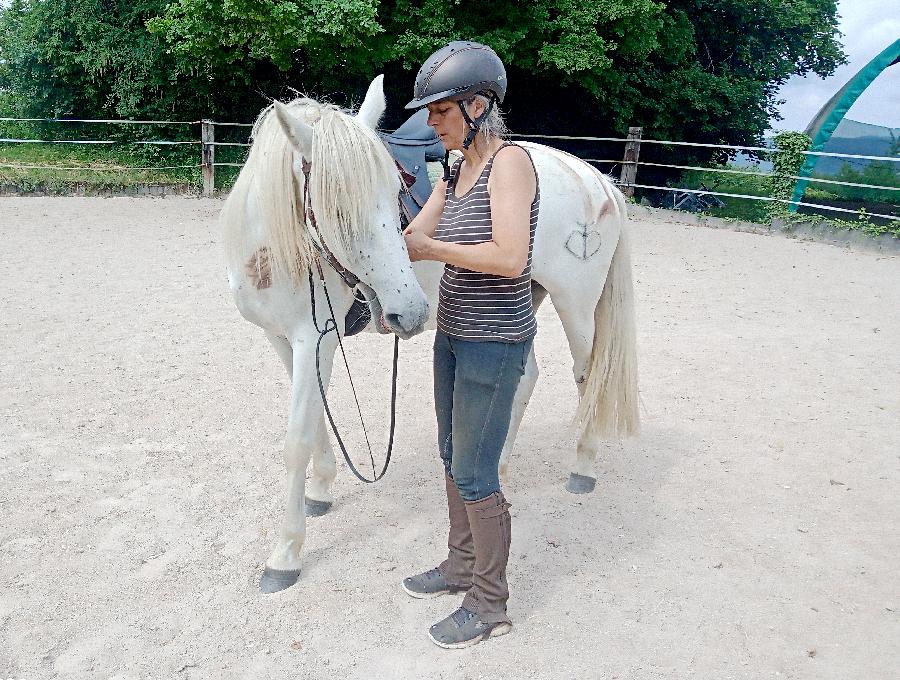 sejour Jura Massif du Jura