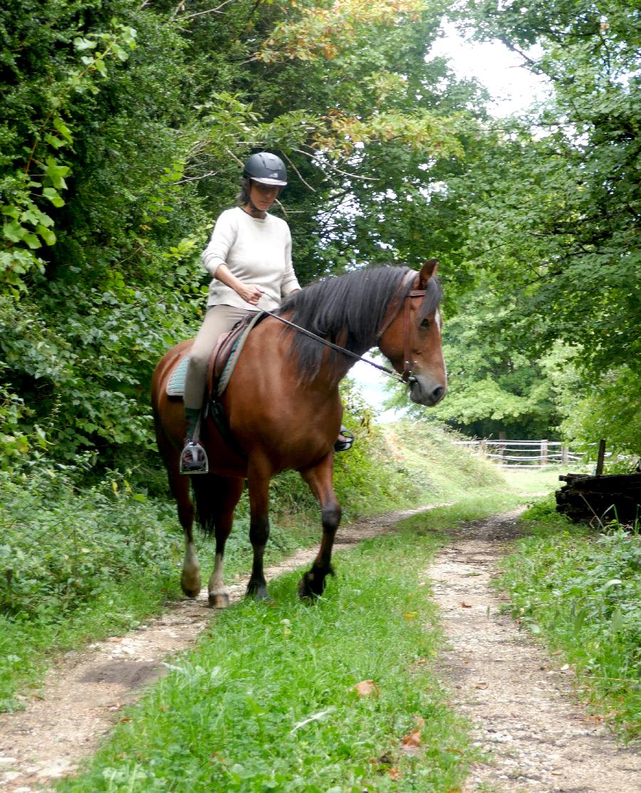 sejour Jura Massif du Jura photo 3