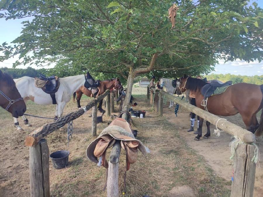 sejour Gers  photo 5