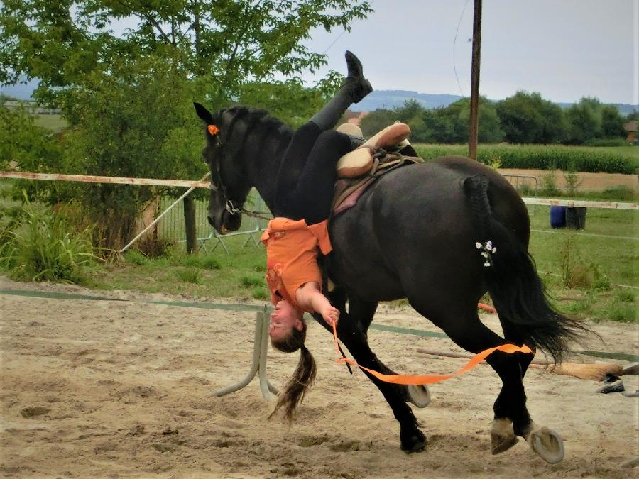 Stage quitation Sane-et-Loire Bourgogne du Sud photo 3