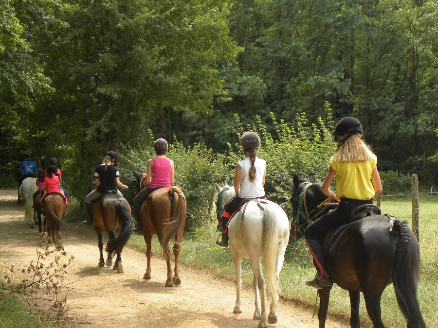 stage Equitation classique Sane-et-Loire