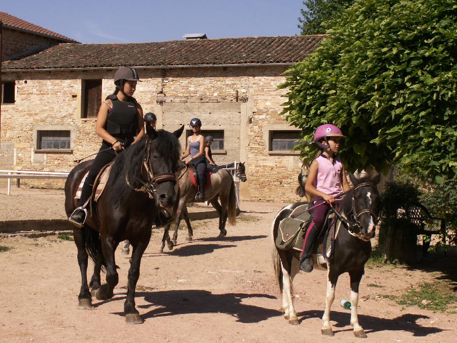 stage Equitation classique Sane-et-Loire