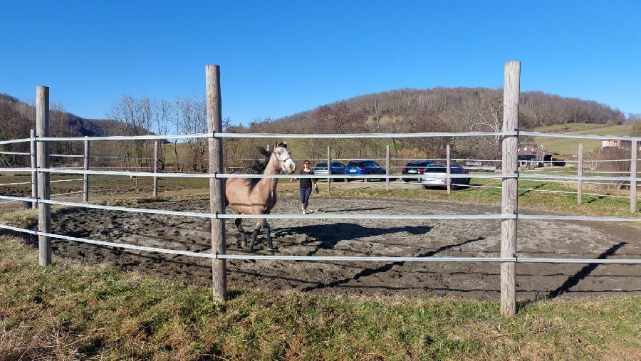 sejour Haute-Garonne Pyrnes photo 3