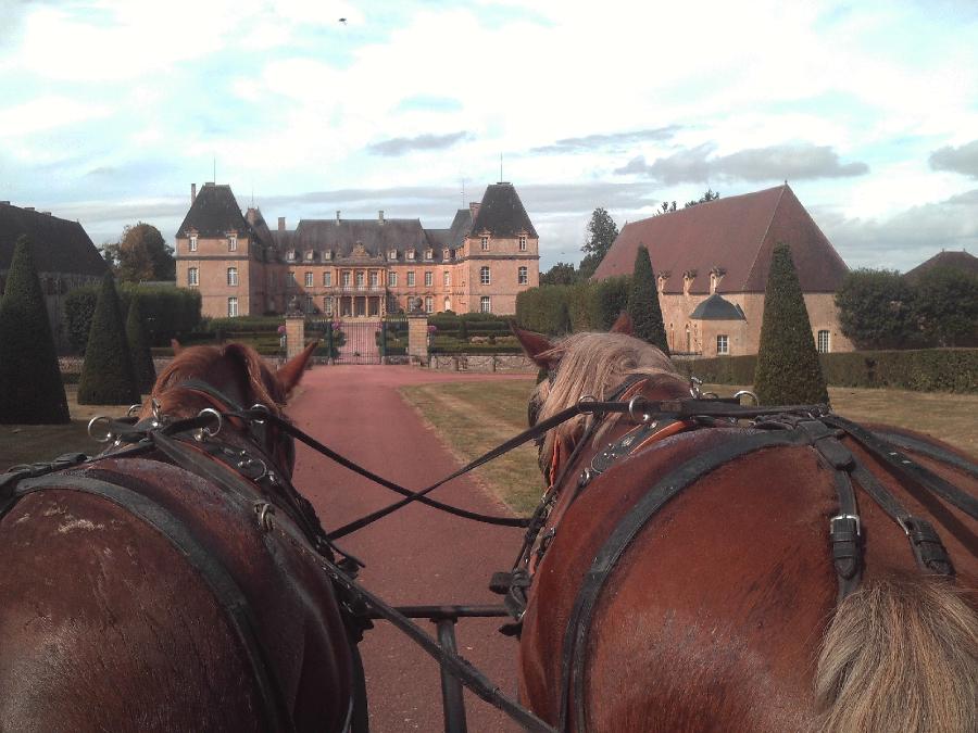 sejour Sane-et-Loire  photo 3