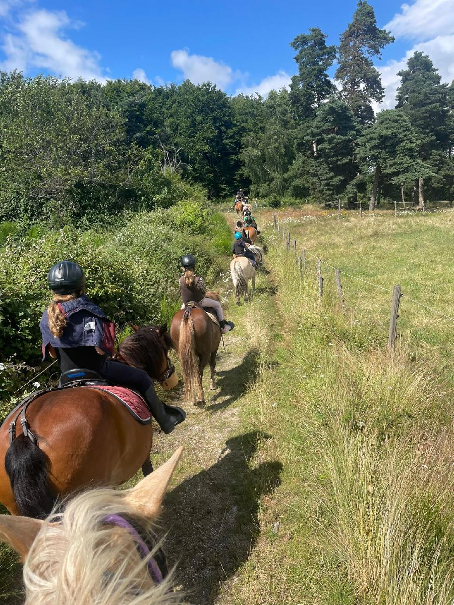 sejour Loz�re PNR de l'Aubrac photo 2