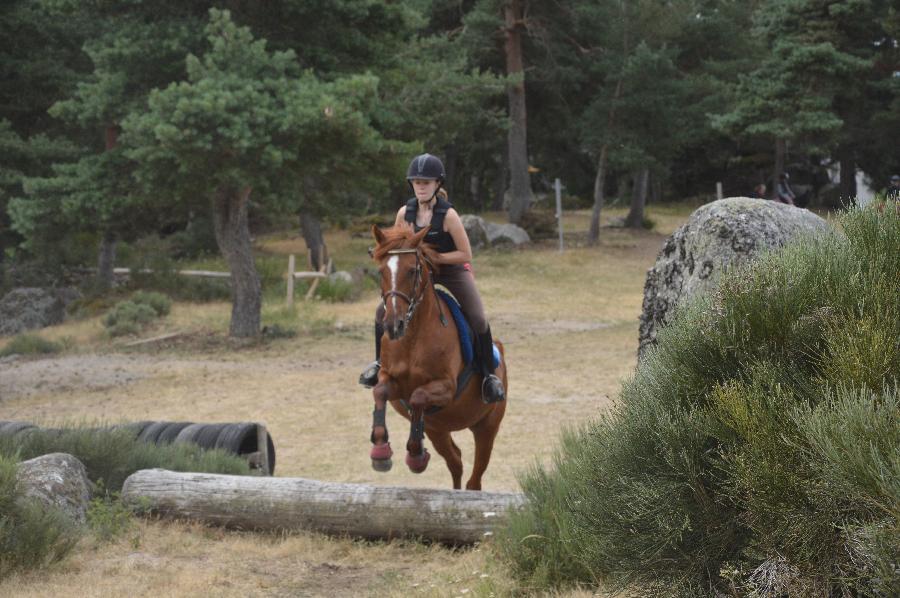 sejour Loz�re PNR de l'Aubrac photo 2