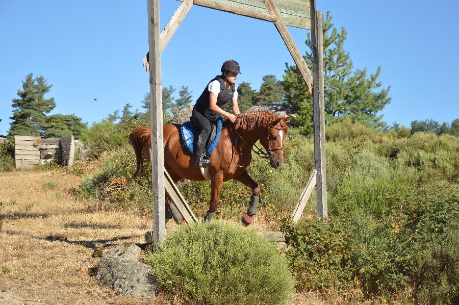 sejour Loz�re PNR de l'Aubrac photo 3