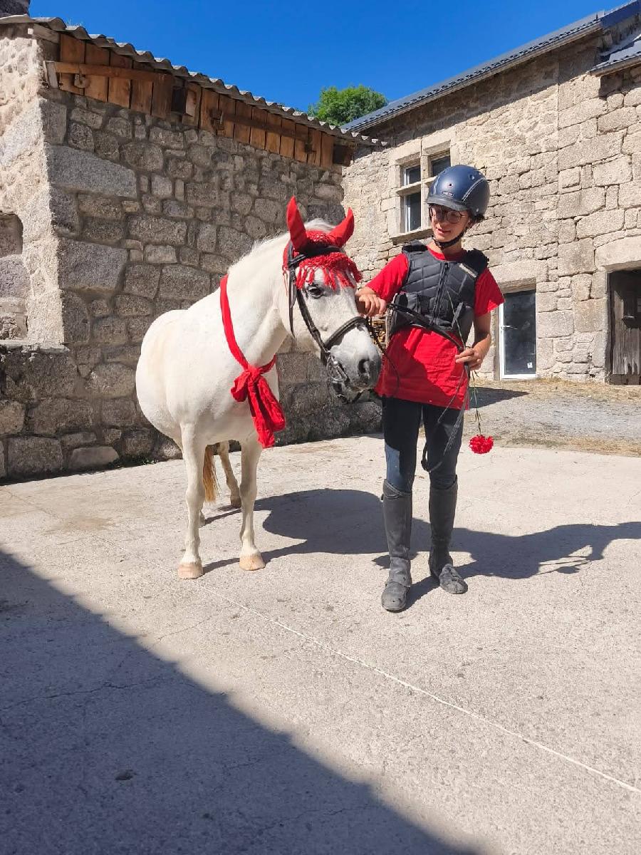 sejour Loz�re PNR de l'Aubrac photo 3