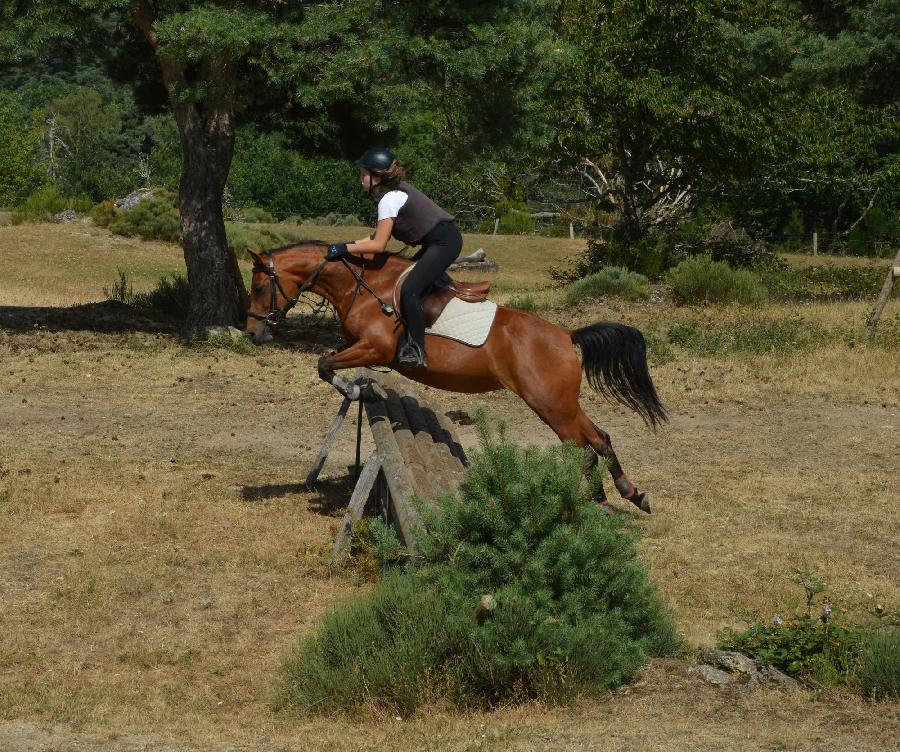 sejour Loz�re PNR de l'Aubrac