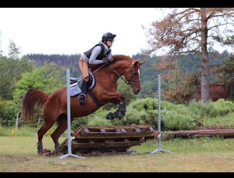 sejour Loz�re PNR de l'Aubrac photo 2