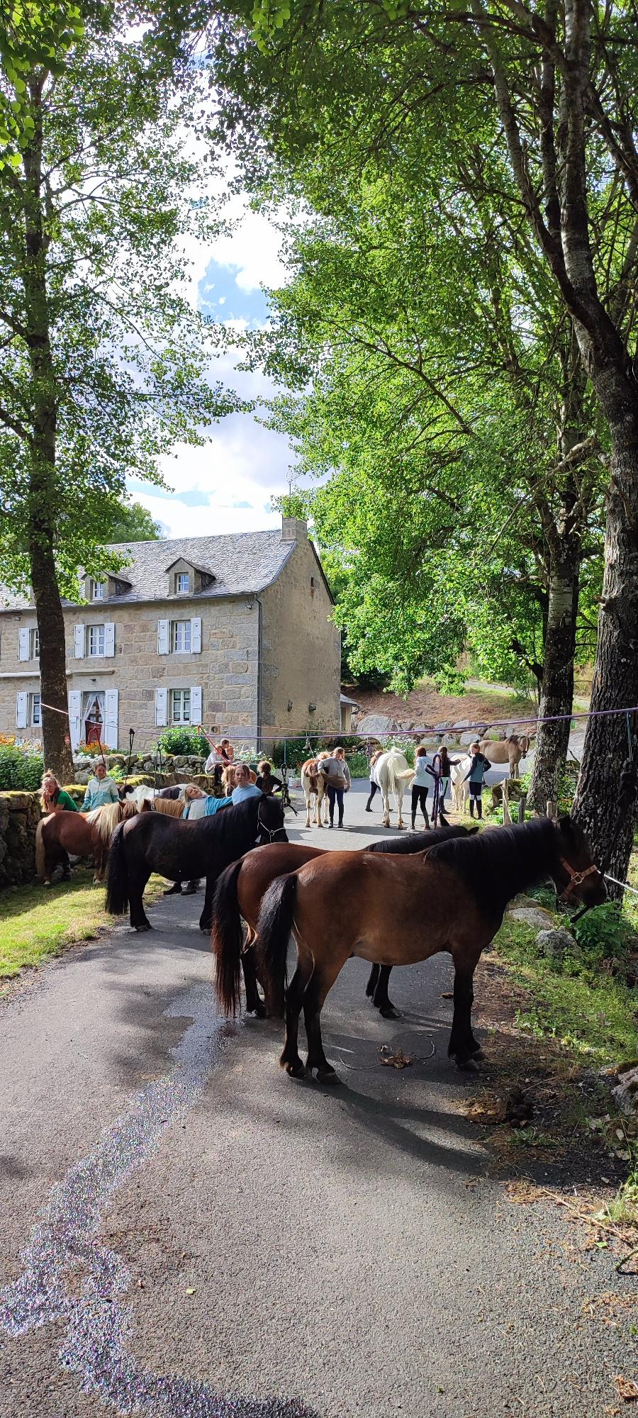 sejour Loz�re PNR de l'Aubrac photo 4