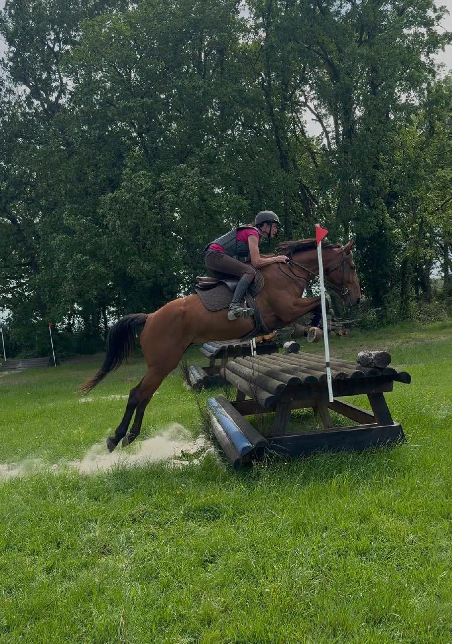 sejour Tarn Pays Cathare photo 2