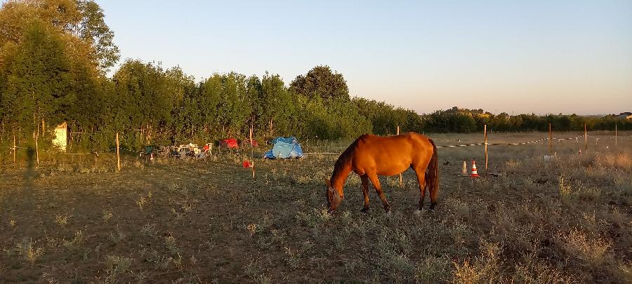 sejour Tarn  photo 3