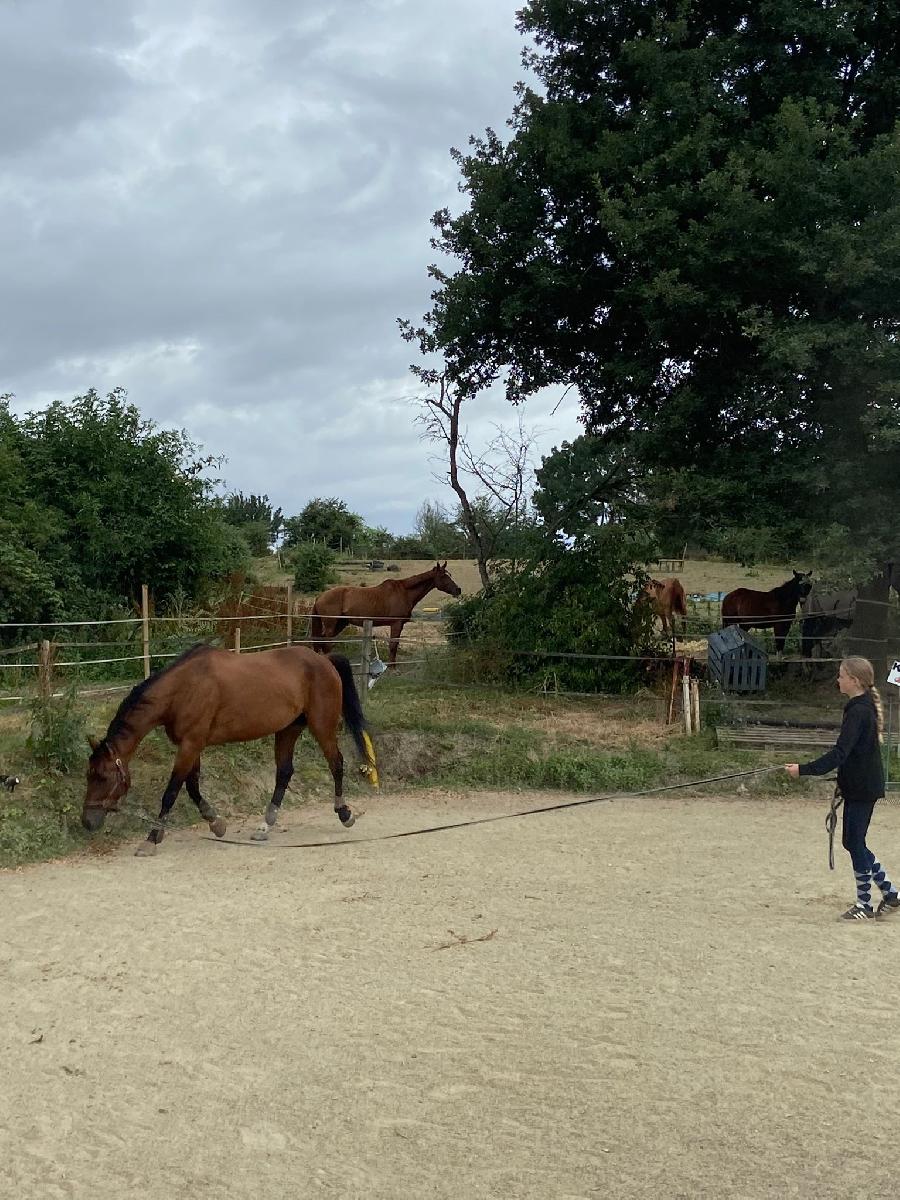 sejour Tarn  photo 5