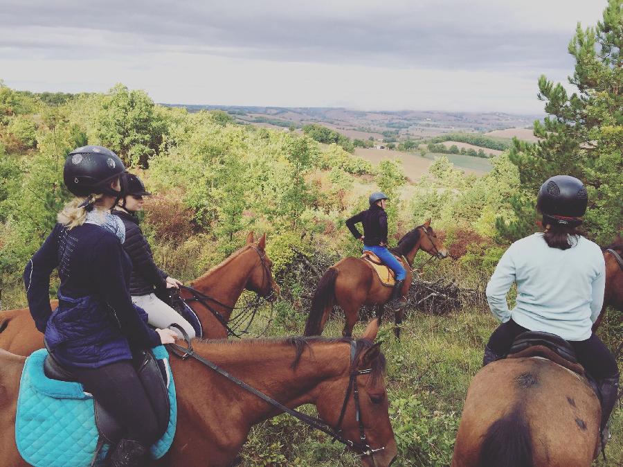 sejour Tarn  photo 2