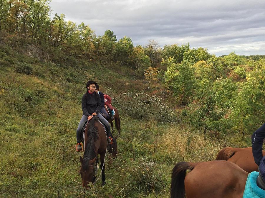 sejour Tarn  photo 4