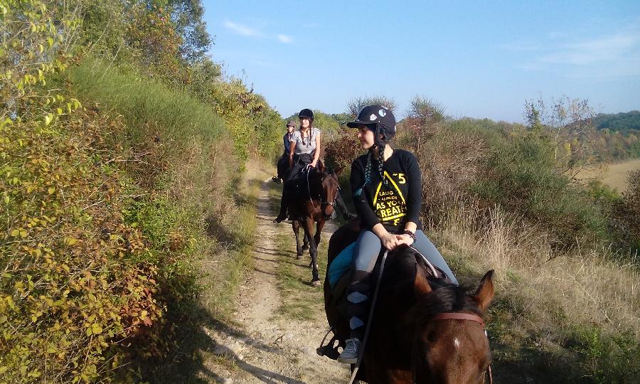 sejour Tarn  photo 5