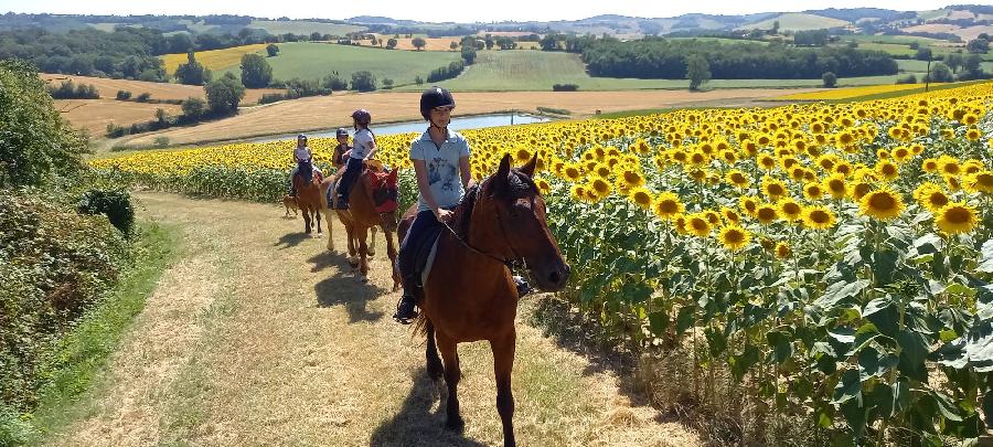sejour Tarn  photo 3