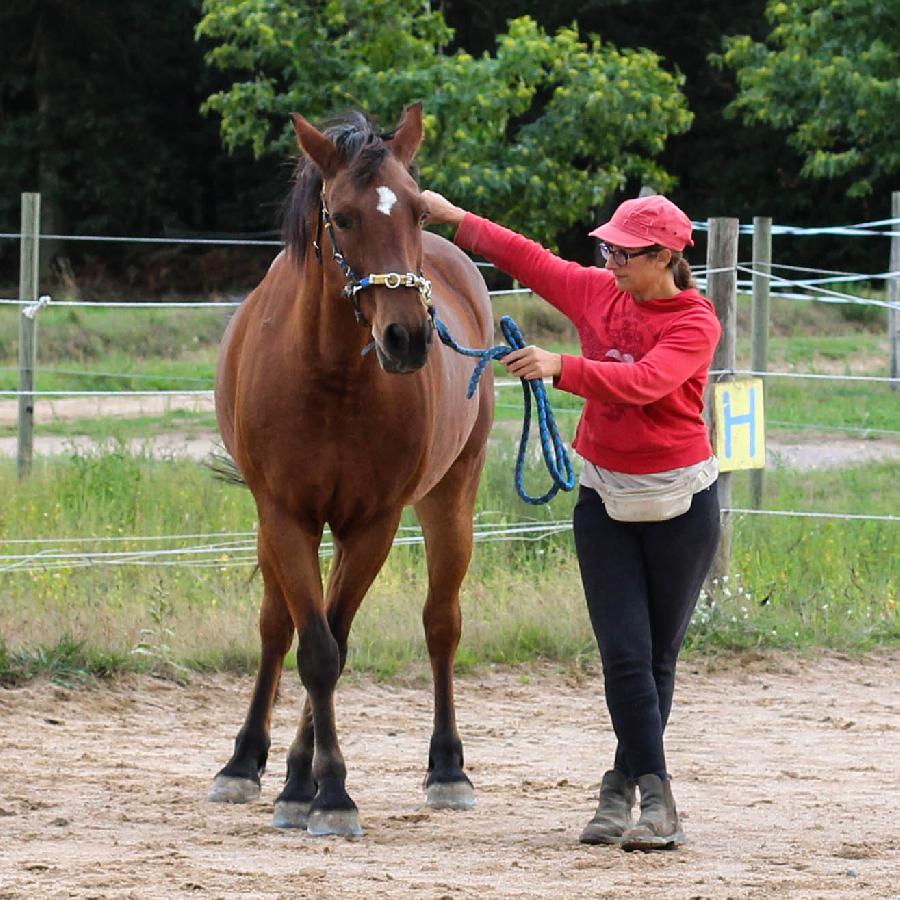 Stage quitation Allier Montagne Bourbonnaise photo 3