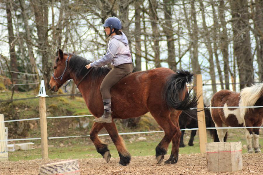 Stage quitation Allier Montagne Bourbonnaise photo 6