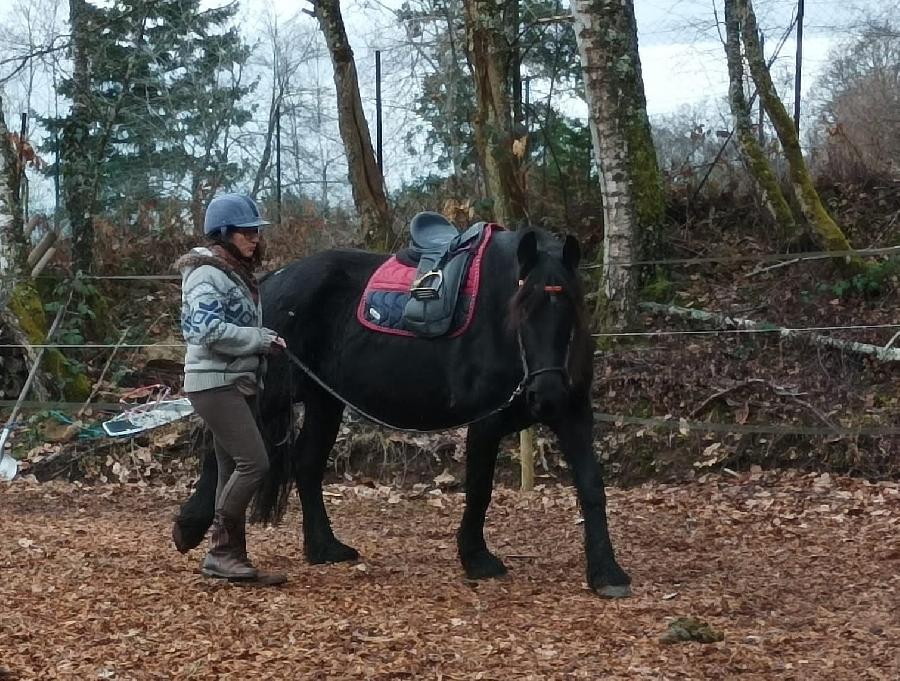 sejour Allier Montagne Bourbonnaise photo 3