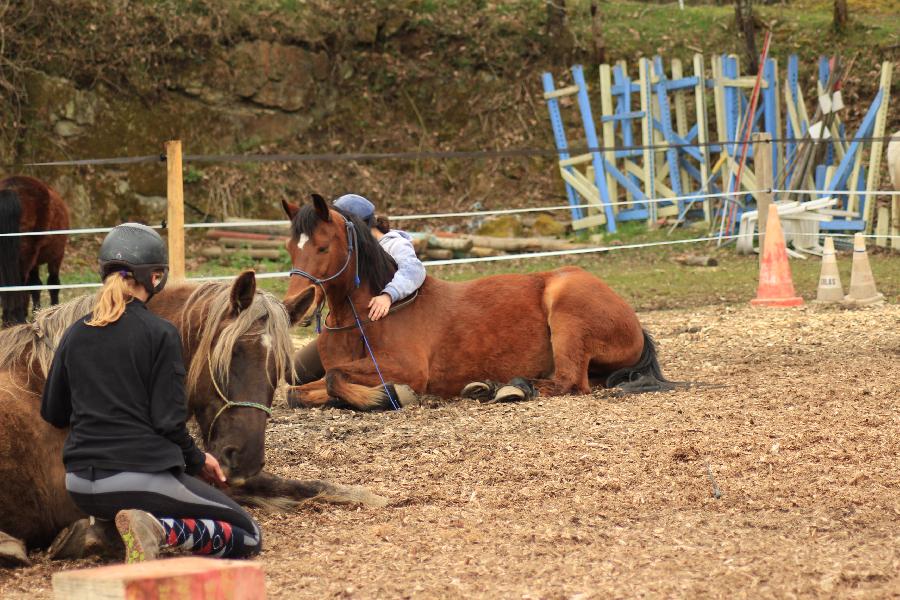 Stage quitation Allier Montagne Bourbonnaise