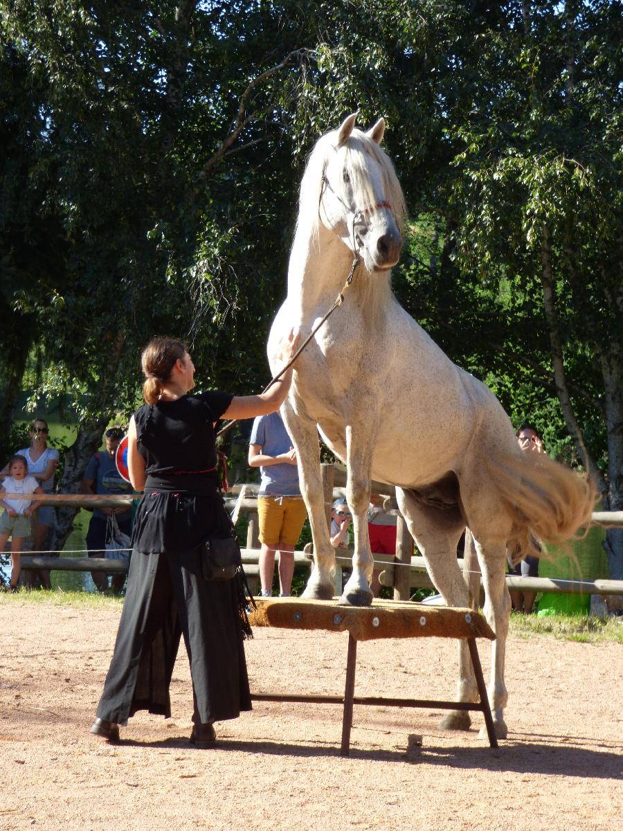 Stage quitation Allier Montagne Bourbonnaise photo 2