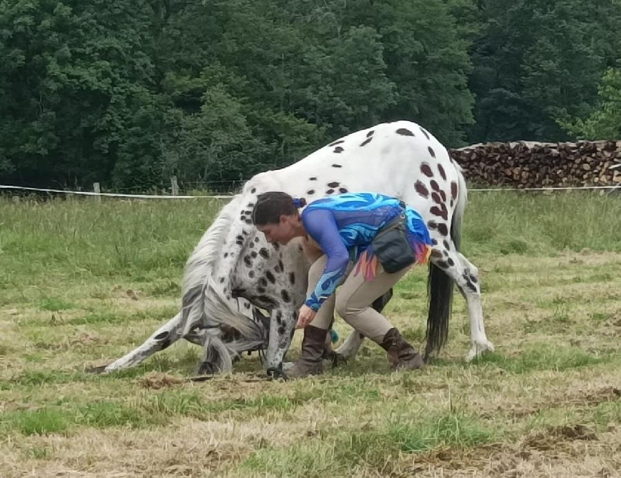 Stage quitation Allier Montagne Bourbonnaise photo 4