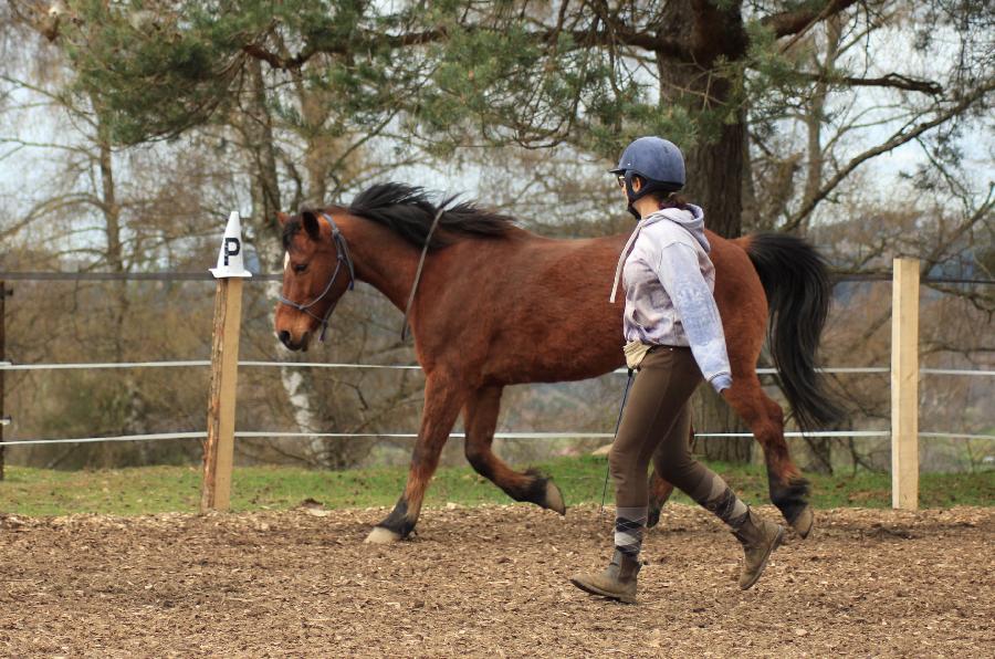 Stage quitation Allier Montagne Bourbonnaise photo 6