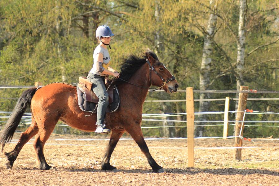 Stage quitation Allier Montagne Bourbonnaise