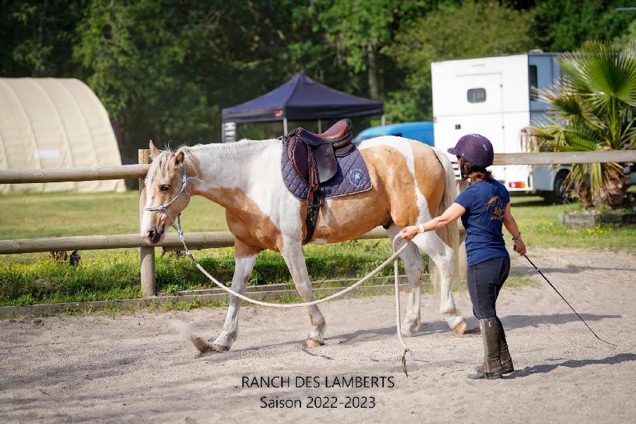 Stage quitation Gironde PNR du Mdoc photo 4