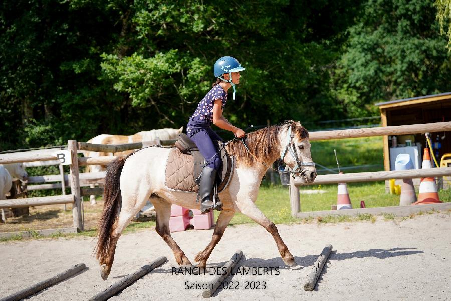 Stage quitation Gironde PNR du Mdoc photo 2