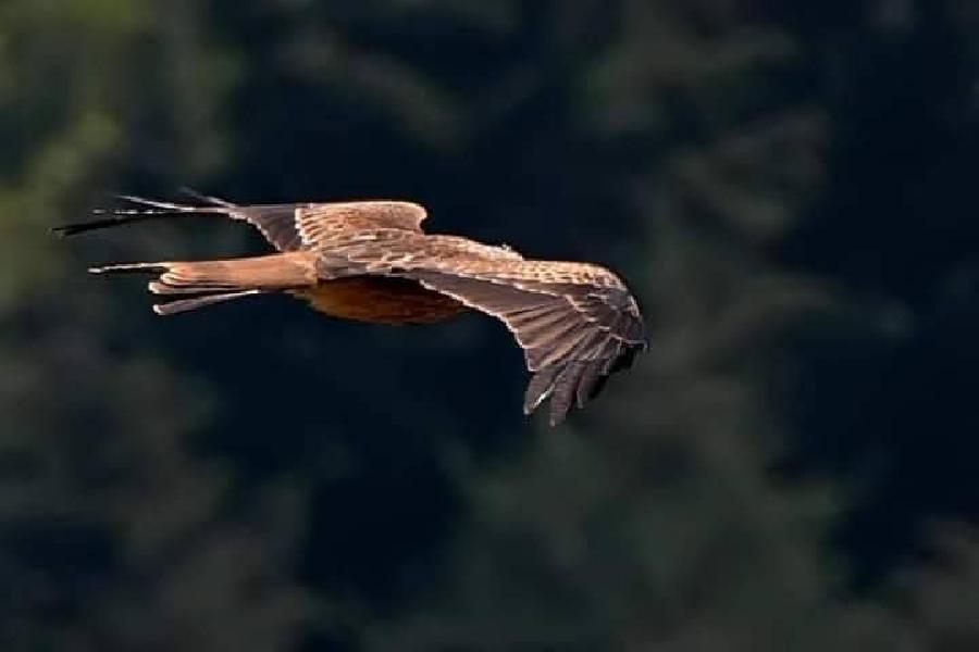 sejour Loire PNR du Pilat photo 2