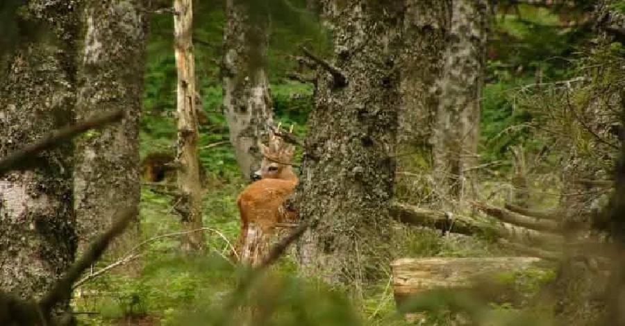 sejour Loire PNR du Pilat photo 3